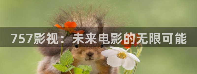 青苹果影院在线观看电视剧免费播放