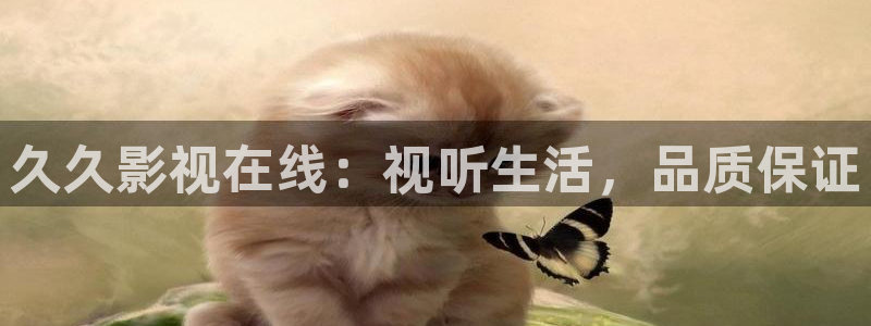 yy4080青苹果影院私人影视